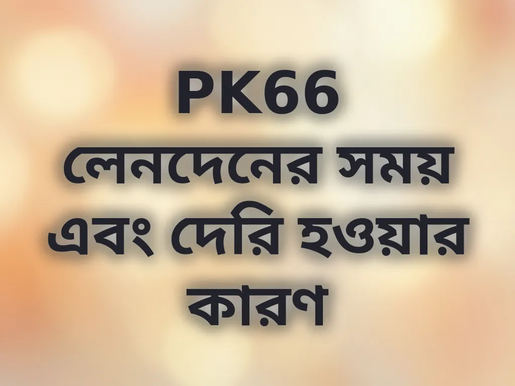 লেনদেন সময় নির্দেশিকা